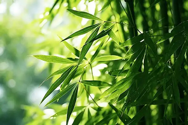blog-1-1