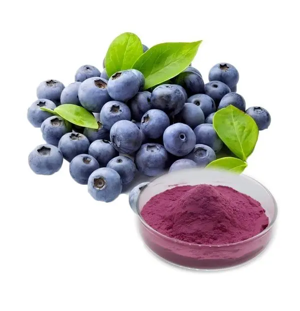 Blueberry Extract Powder