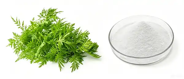 Artemisinin Powder Artemisinin Powder