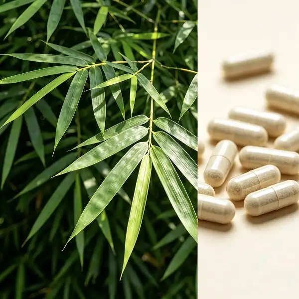 Bamboo Leaf Extract Bamboo Leaf Extract