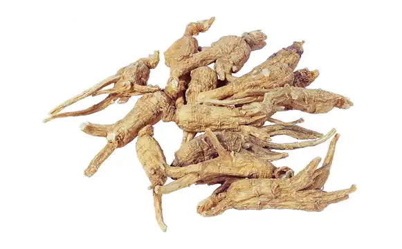 Angelica Officinalis Extract