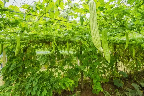 blog-1-1