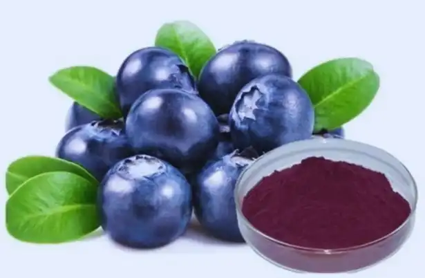 Blueberry Extract Powder Blueberry Extract Powder