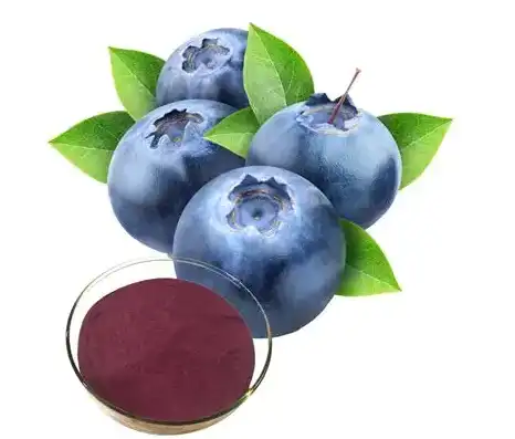 Blueberry Extract Powder Blueberry Extract Powder