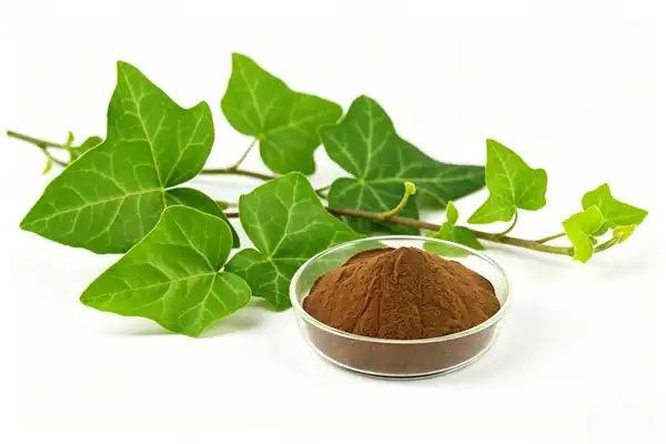 Ivy Extract Powder