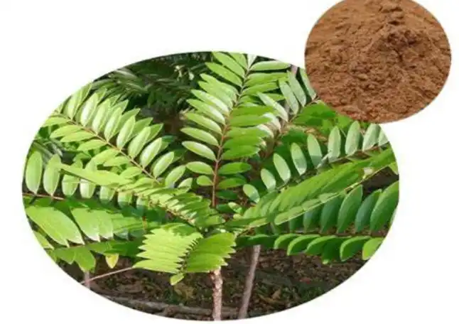 Tongkat Ali Extract Powder