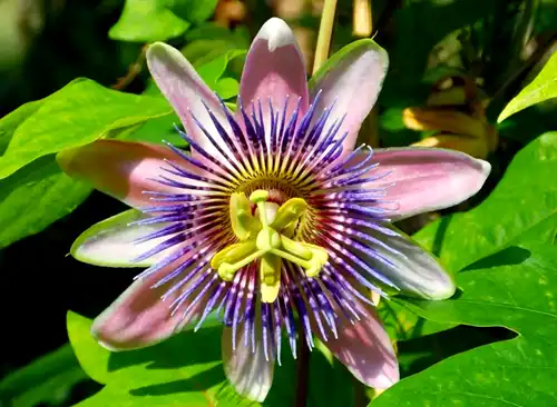 blog-1-1