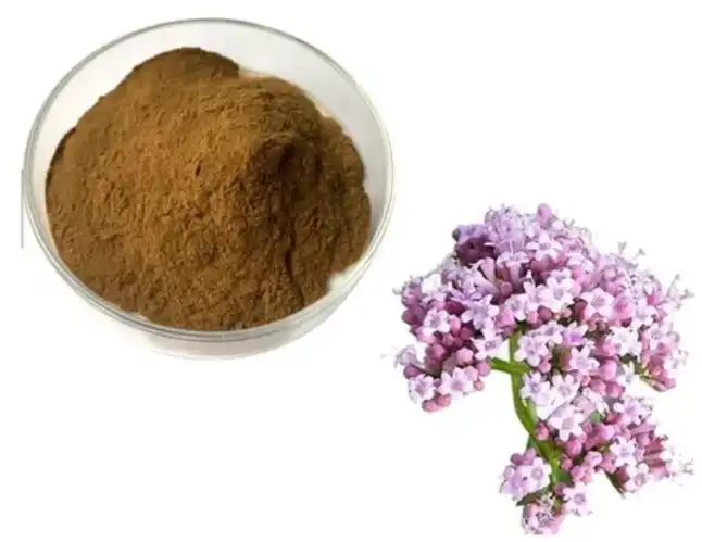 Valerian Root Extract Powder Valerian Root Extract Powder