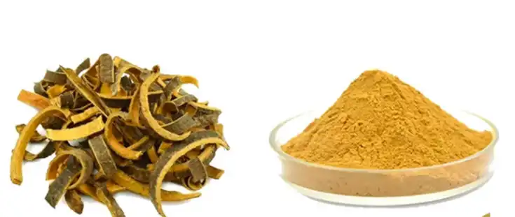 Cortex Phellodendri Powder