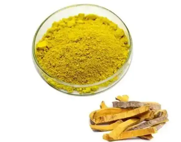 Cortex Phellodendri Powder Cortex Phellodendri Powder