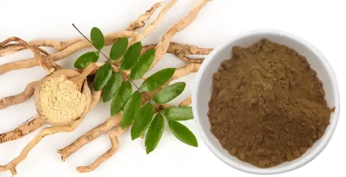 Tongkat Ali Extract Powder