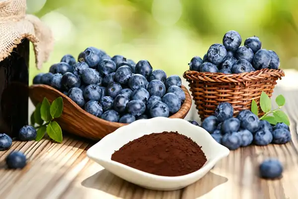blueberry extract powder