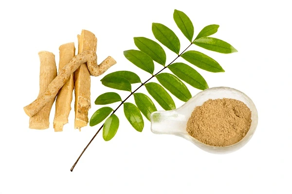 Tongkat Ali Extract Powder Tongkat Ali Extract Powder