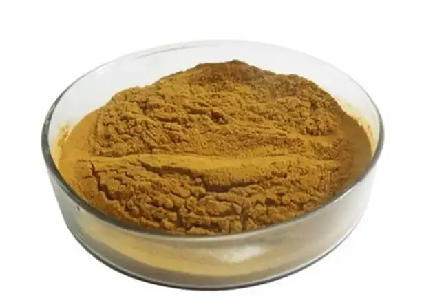 Nettle Extract Powder