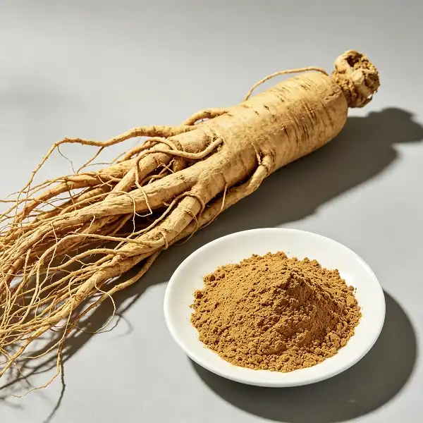 Angelica Officinalis Extract