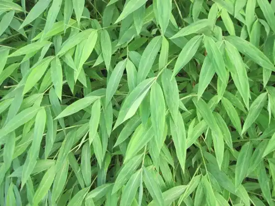 blog-1-1 blog-1-1