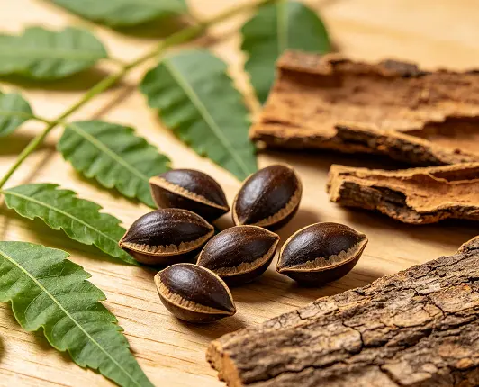 Neem Extract