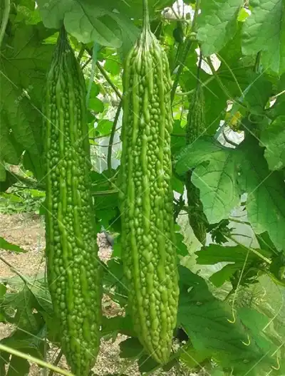 blog-1-1 blog-1-1