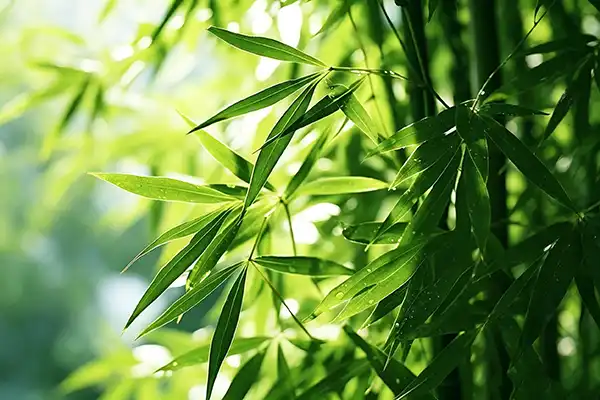 blog-1-1 blog-1-1