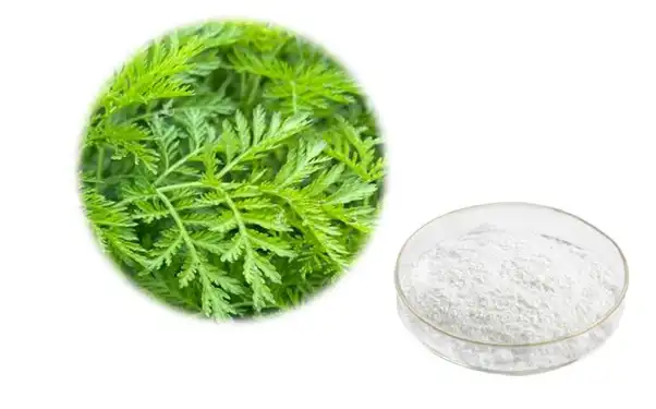 Artemisinin Powder Artemisinin Powder