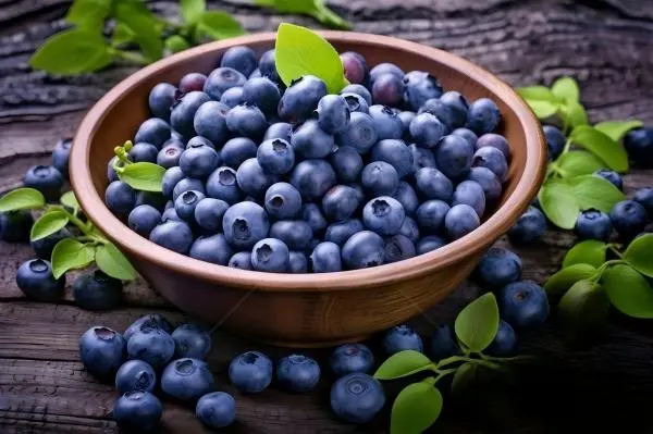 Blueberry Extract Powder Blueberry Extract Powder