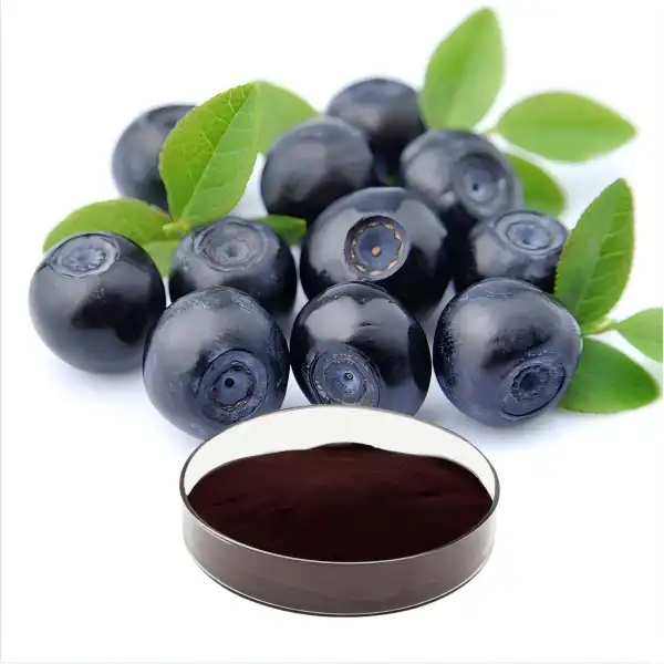 Blueberry Extract Powder Blueberry Extract Powder
