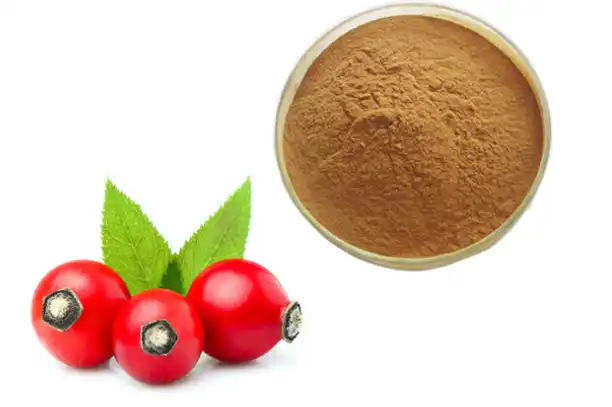 Rose Hip Extract Powder Rose Hip Extract Powder