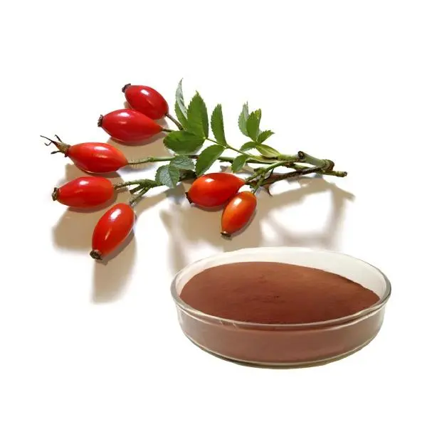 Rose Hip Extract Powder