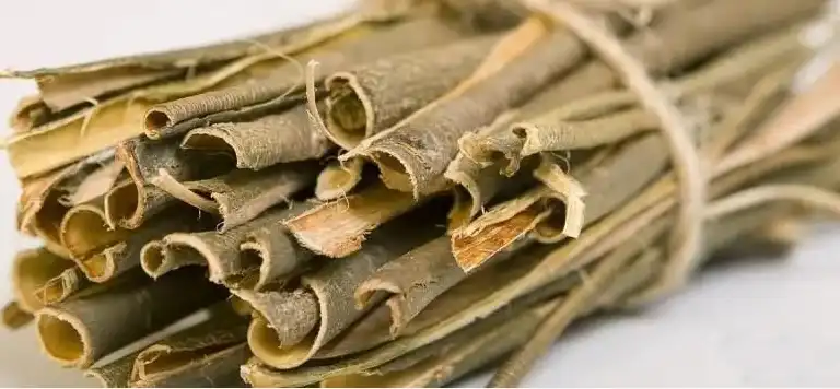 White Willow Bark Extract Powder
