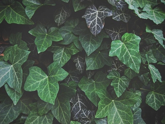 blog-1-1 blog-1-1