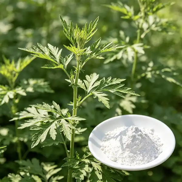 Artemisinin Powder Artemisinin Powder