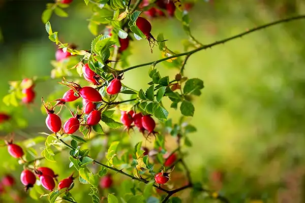 blog-1-1