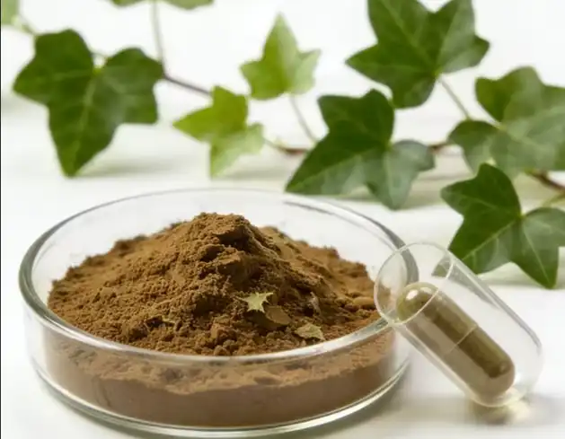 ivy extract powder