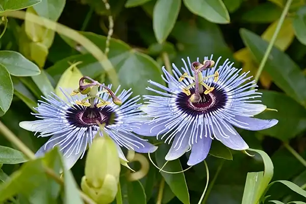 blog-1-1