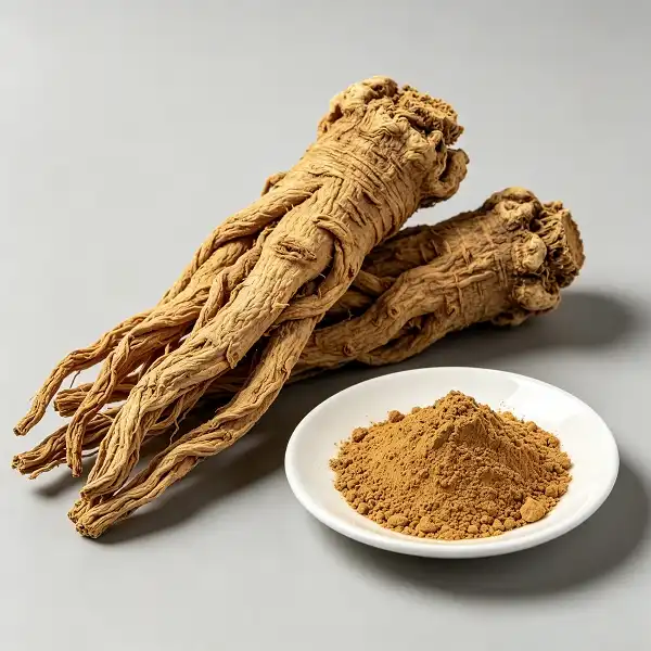 Angelica Officinalis Extract Angelica Officinalis Extract