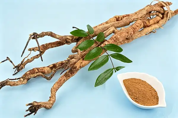 Tongkat Ali Extract Powder Tongkat Ali Extract Powder