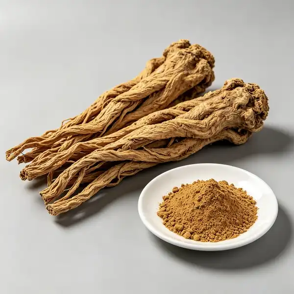 Angelica Officinalis Extract Angelica Officinalis Extract