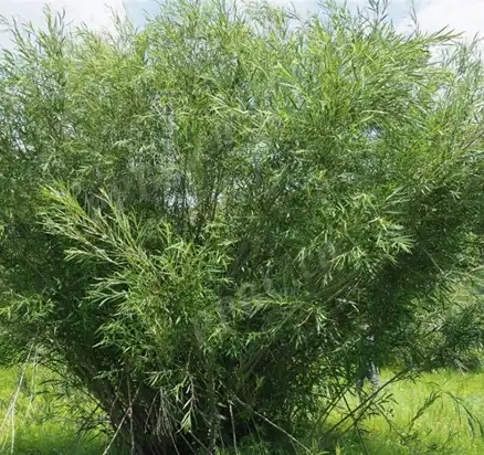 blog-1-1