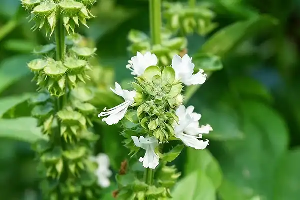 blog-1-1 blog-1-1