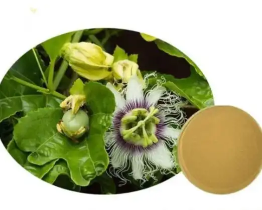 passionflower extract powder passionflower extract powder