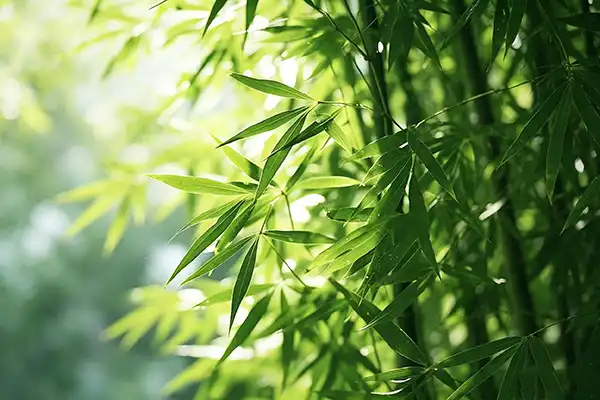 blog-1-1 blog-1-1