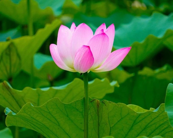 blog-1-1 blog-1-1