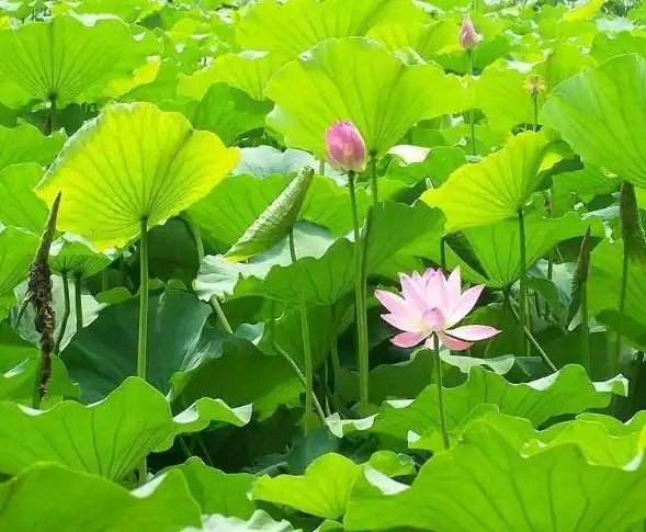 blog-1-1 blog-1-1