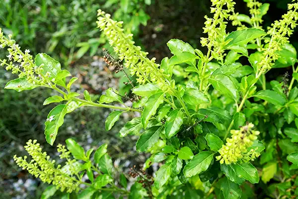 blog-1-1