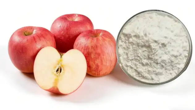 Apple Extract Powder Apple Extract Powder