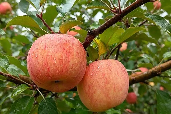 blog-1-1