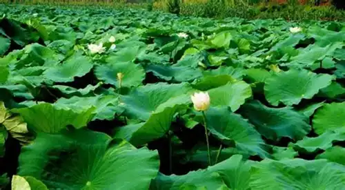 blog-1-1