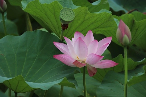 blog-1-1