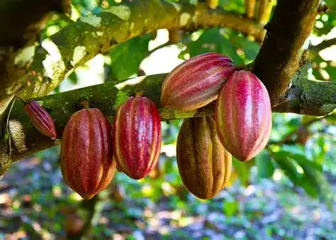blog-1-1