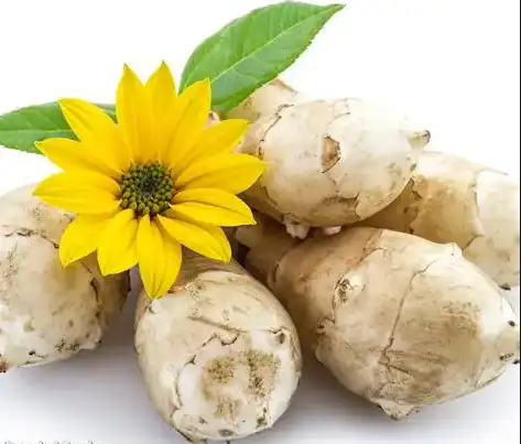 Jerusalem Artichoke Extract